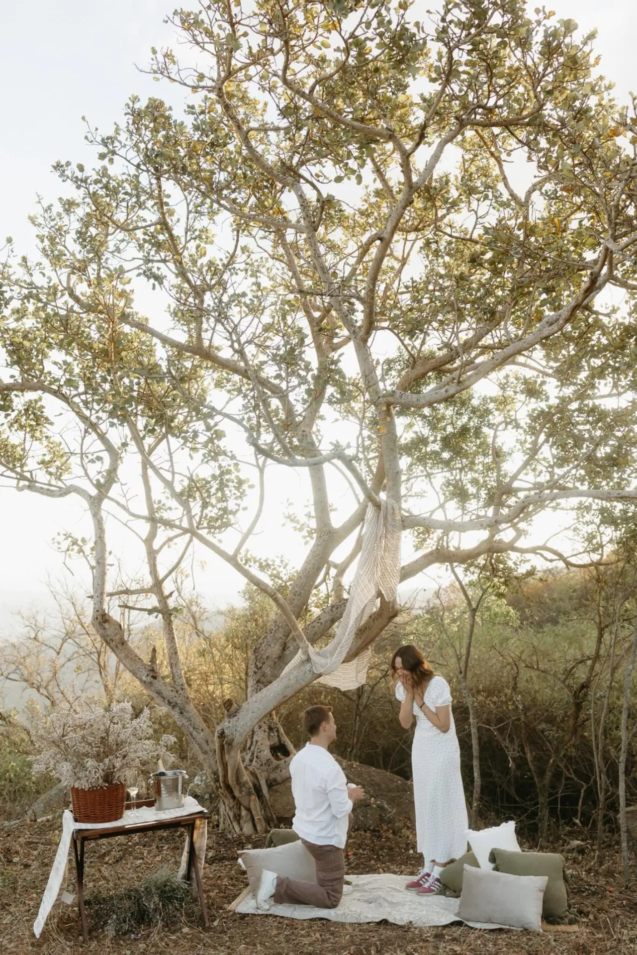 Proposal beneath a marula tree with a styled picnic on the ridge