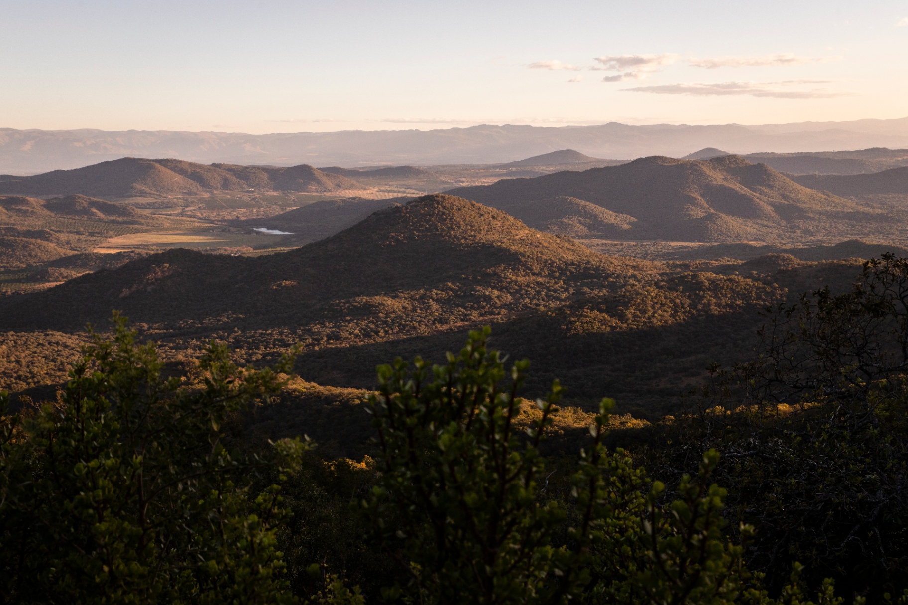 Panoramic view over the De Kaap Valley toward Barberton at golden hour