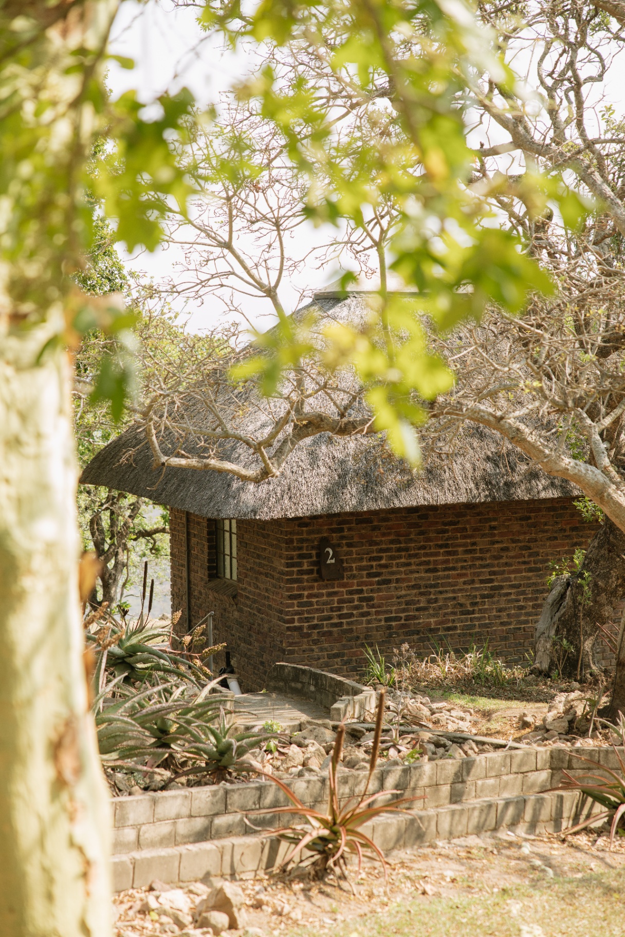 Thatched brick cottage set among trees