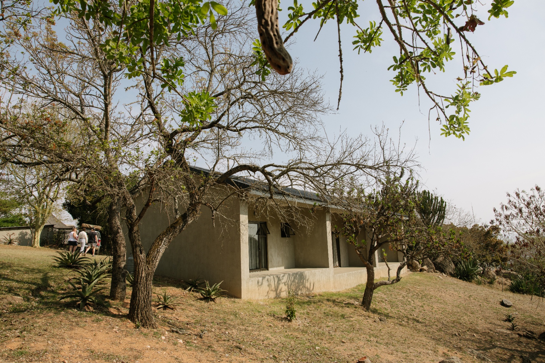 Long lodge building among trees