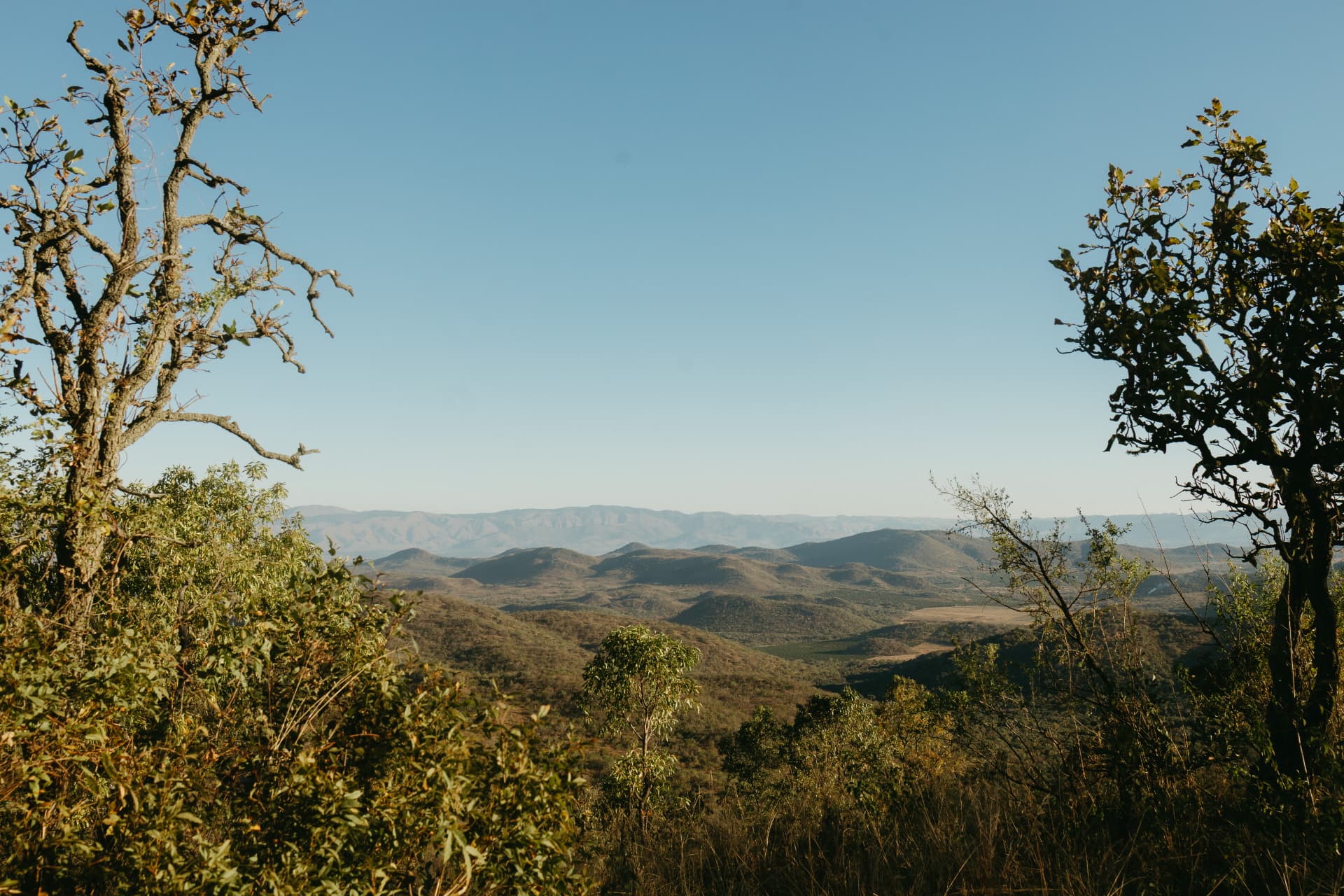 The De Kaap Valley framed by bushveld trees