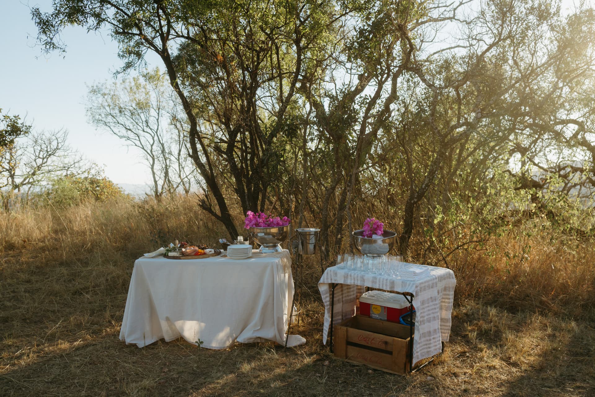 Bush grazing table dressed with bougainvillea