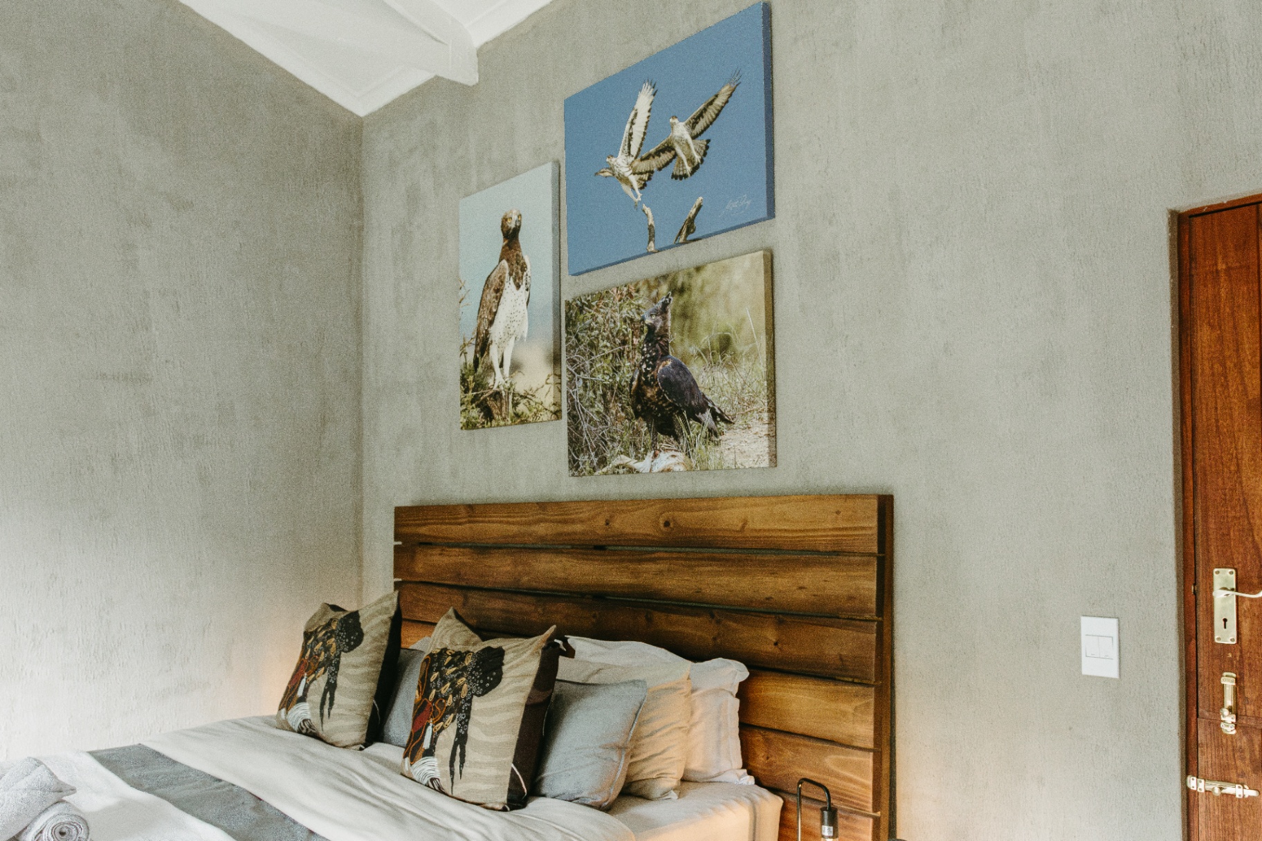 Eagle Suite detail