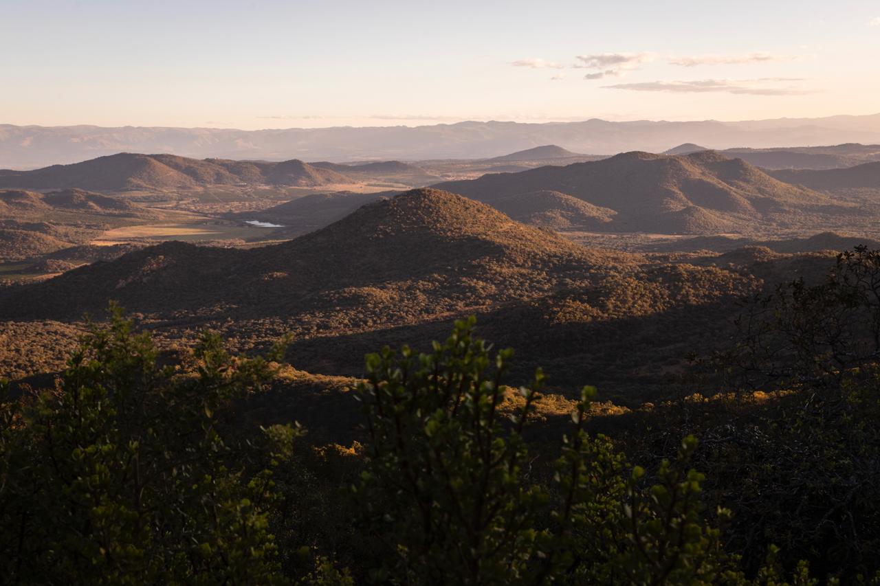 Golden-hour light over the Lowveld valley at Gold Valley Estate